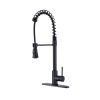 Single Handle Commercial Modern Matte Black Spring High Arc Kitchen Faucet